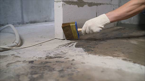 24/7 Emergency Wet Basement Repair experts in Greenville, MI